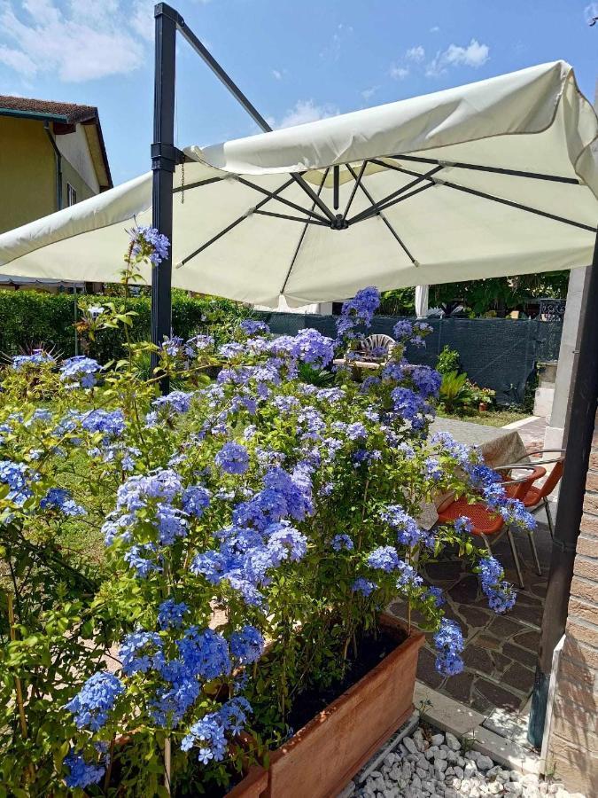Bertos House Tra Mare E Laguna Cavallino-Treporti Exterior foto